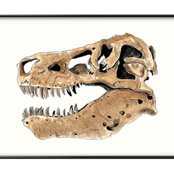 『T.rex』 クレイアート　絵画 41mi-k+HoSL.jpg_BO30,255,255,