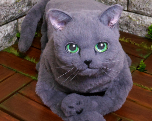 398f40511c0063d004a5a8a95188f5