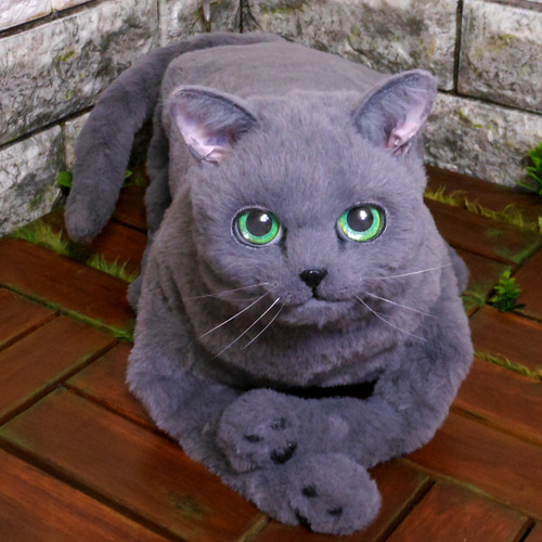 きゃばんねこ】ブリティッシュブルー、ロシアンブルーのリアルな実物大