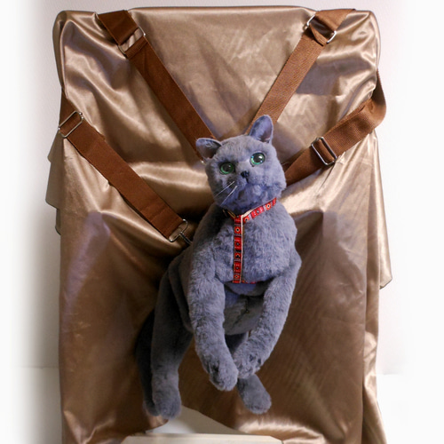 きゃばんねこ】ブリティッシュブルー、ロシアンブルーのリアルな実物大