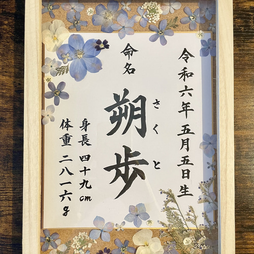 花よりまんじゅう あおい ARS10+ 鑑定書付き 花よりまんじゅう あおい ARS10+ 鑑定書付き 花よりまんじゅう あおい
