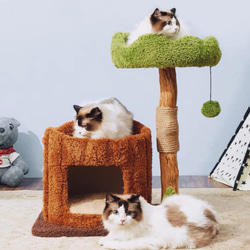 木にのる】ベッド付き天然木無垢材キャットタワー多猫世帯