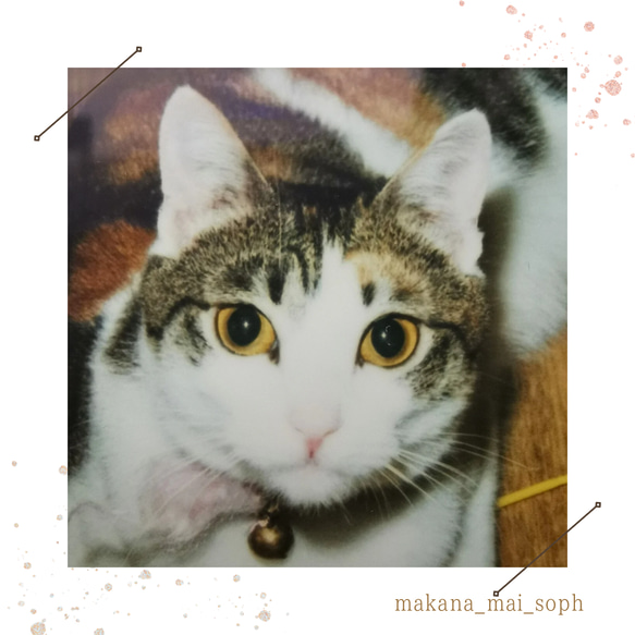 【受注制作】uchinoko線画刺繍クッション S です