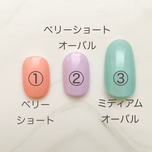 サイズ確認用ネイルチップ《ミディアムオーバル》 ネイルチップ（つけ