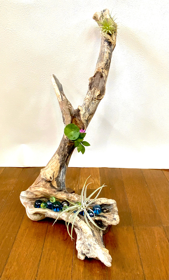 天然流木プランター 一輪挿し・花瓶・花器 SHIMS 通販 17792285