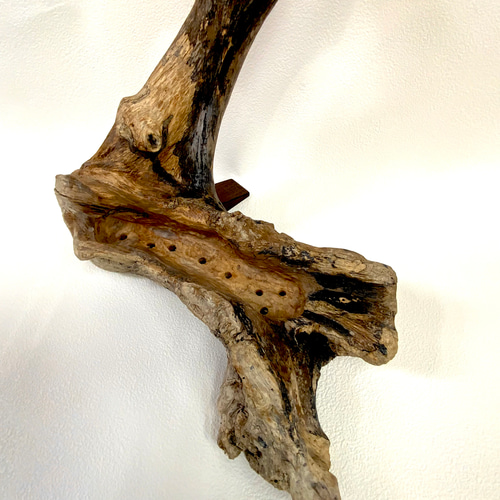 天然流木プランター 一輪挿し・花瓶・花器 SHIMS 通販 17792285