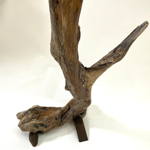 天然流木プランター 一輪挿し・花瓶・花器 SHIMS 通販 17792285