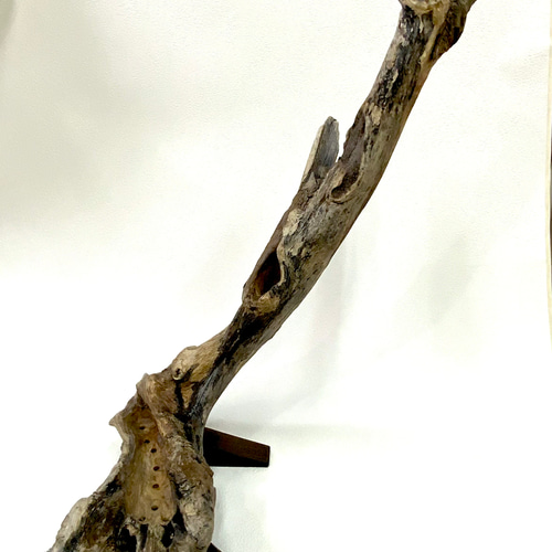 天然流木プランター 一輪挿し・花瓶・花器 SHIMS 通販 17792285