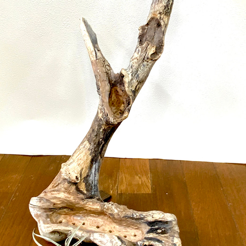 天然流木プランター 一輪挿し・花瓶・花器 SHIMS 通販 17792285