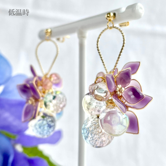 色が変わる露華のイヤリング/ピアス ٭❀* 花びらの色が変化 ぷっくり