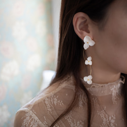 強度○　本物の紫陽花のピアス　イヤリング　ウェディングや贈り物ギフトにも　N115 5枚目の画像