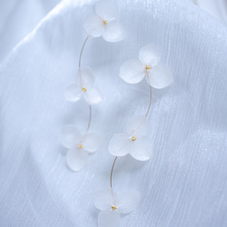 強度○　本物の紫陽花のピアス　イヤリング　ウェディングや贈り物ギフトにも　N115 9枚目の画像