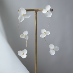 強度○　本物の紫陽花のピアス　イヤリング　ウェディングや贈り物ギフトにも　N115 10枚目の画像