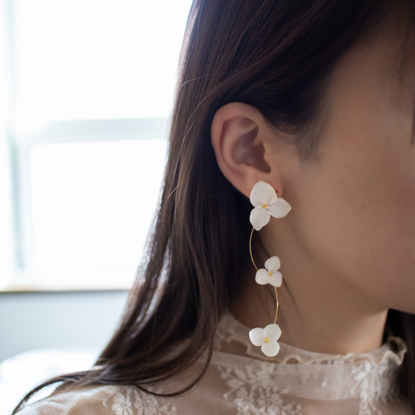 強度○　本物の紫陽花のピアス　イヤリング　ウェディングや贈り物ギフトにも　N115 12枚目の画像
