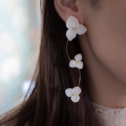 強度○　本物の紫陽花のピアス　イヤリング　ウェディングや贈り物ギフトにも　N115 1枚目の画像