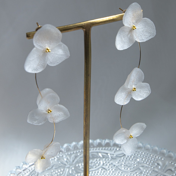 強度○　本物の紫陽花のピアス　イヤリング　ウェディングや贈り物ギフトにも　N115 8枚目の画像