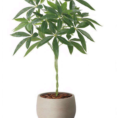 光触媒　人工観葉植物　ウォールグリーン　フェイクグリーン　ナチュラルパキラ90 光触媒人工観葉植物ウォールグリーンフェイクグリーンナチュラルパキラ90