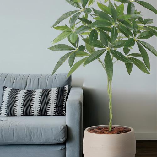 光触媒人工観葉植物ウォールグリーンフェイクグリーンナチュラルパキラ90