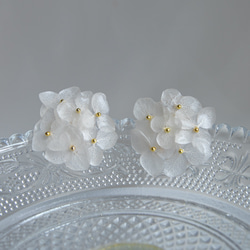 強度○　本物の紫陽花のピアス　イヤリング　ウェディングや贈り物ギフトにも　N112 9枚目の画像