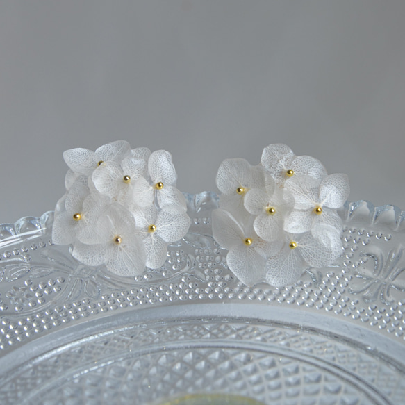 強度○　本物の紫陽花のピアス　イヤリング　ウェディングや贈り物ギフトにも　N112 9枚目の画像