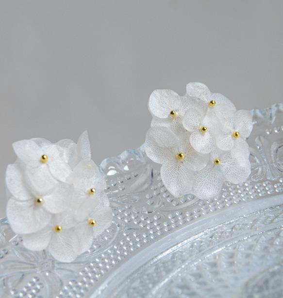 強度○　本物の紫陽花のピアス　イヤリング　ウェディングや贈り物ギフトにも　N112 2枚目の画像