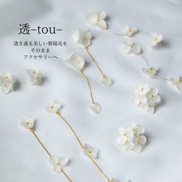 強度○　本物の紫陽花のピアス　イヤリング　ウェディングや贈り物ギフトにも　N112 8枚目の画像