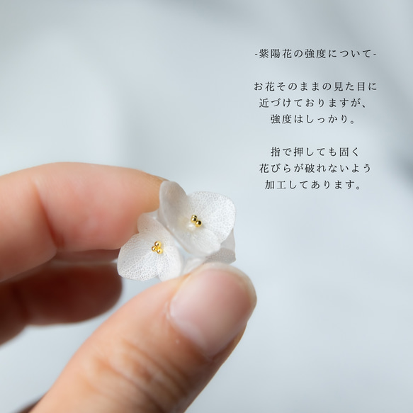 強度○　本物の紫陽花のピアス　イヤリング　ウェディングや贈り物ギフトにも　N112 4枚目の画像