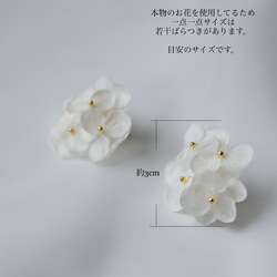 強度○　本物の紫陽花のピアス　イヤリング　ウェディングや贈り物ギフトにも　N112 5枚目の画像