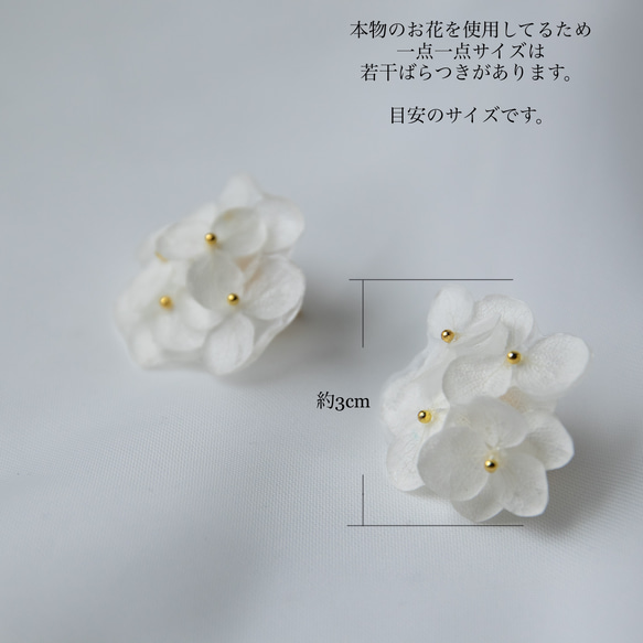 強度○　本物の紫陽花のピアス　イヤリング　ウェディングや贈り物ギフトにも　N112 5枚目の画像