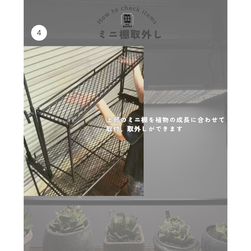 水受けトレーが付く植物棚 扉&格子タイプ 植物育成 棚・シェルフ