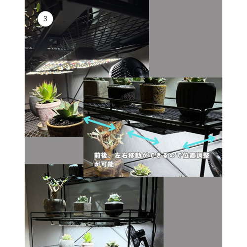 水受けトレーが付く植物棚 扉&格子タイプ 植物育成 棚・シェルフ