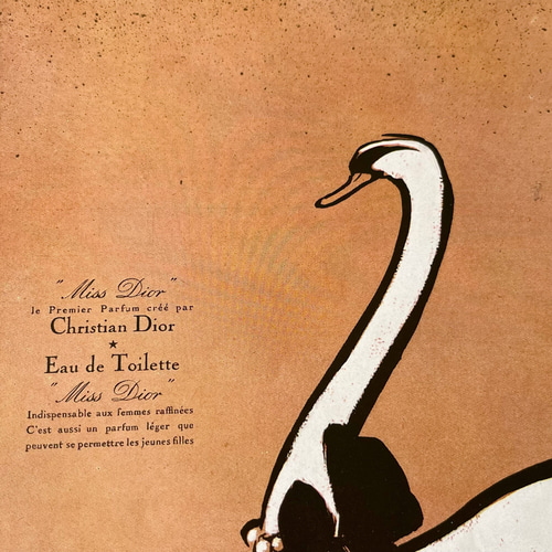 1950年代 広告＞Dior ディオール Rene Gruau 白鳥 ポスター
