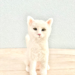 テディキャット ふわふわ白ねこちゃん テディベア ぬいぐるみ