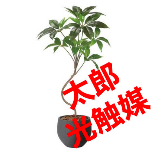 光触媒 人工観葉植物 ウォールグリーン フェイクグリーン ナチュラルツ