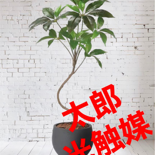 光触媒　人工観葉植物　ウォールグリーン　フェイク　ジョイントメープルツリー 光触媒 人工観葉植物 ウォールグリーン フェイクグリーン