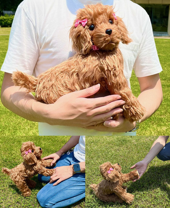 Woderful Alice トイプードル レッド No.2 犬 ぬいぐるみ リアルサイズ 送料無料 Alice トイプードル レッド 送料無料