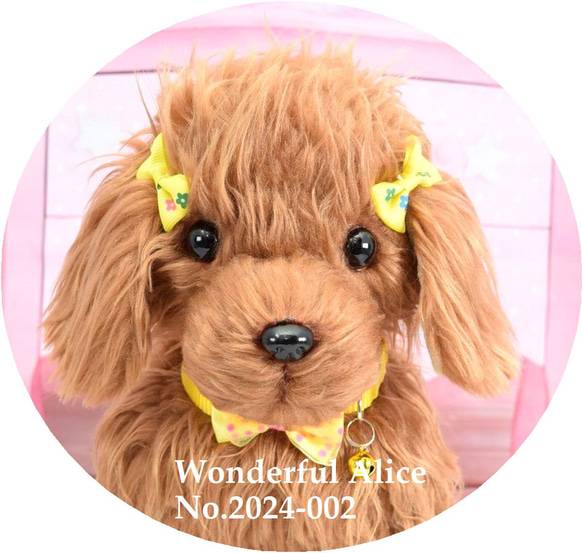 Woderful Alice トイプードル レッド No.2 犬 ぬいぐるみ リアルサイズ 送料無料 Alice トイプードル レッド 送料無料