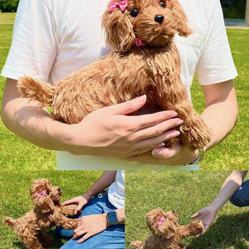 〚羽月〛トイプードル　ぬいぐるみ♡ Woderful Alice トイプードル レッド No.6 犬 ぬいぐるみ リアル