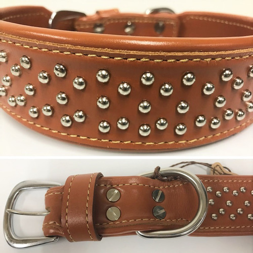 スタッズデザイン　犬　首輪（複数色）大型犬 Amazon | Mitoland 犬の首輪 スタッズ デザイン ワイルド