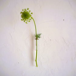 試験管一輪挿し壁付真鍮200 3枚目の画像