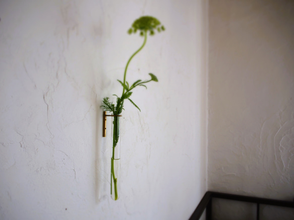 試験管一輪挿し壁付真鍮200 1枚目の画像