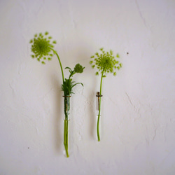 試験管一輪挿し壁付真鍮200 6枚目の画像