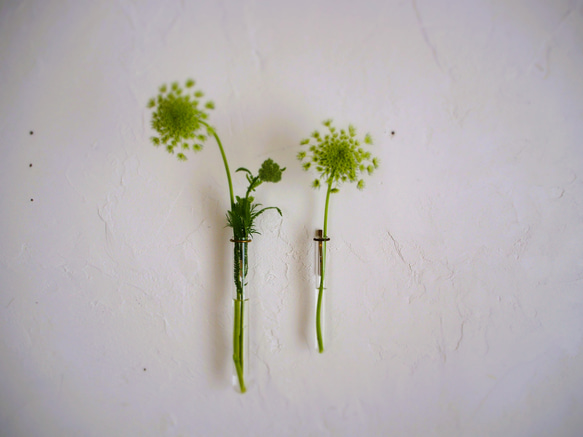 試験管一輪挿し壁付真鍮200 6枚目の画像