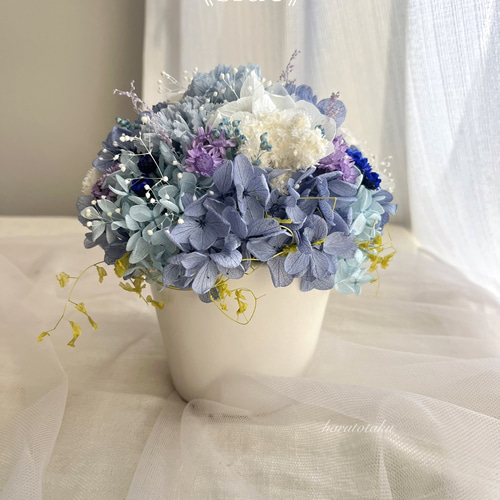 バラ・カーネーション・紫陽花のプリザーブドフラワー バラ・カーネーション・紫陽花のプリザーブドフラワー
