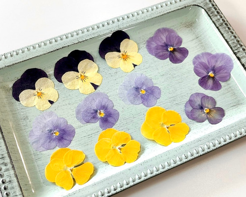 押し花】ビオラ （ミックス ） 12輪 素材 花材 レジン キャンドル