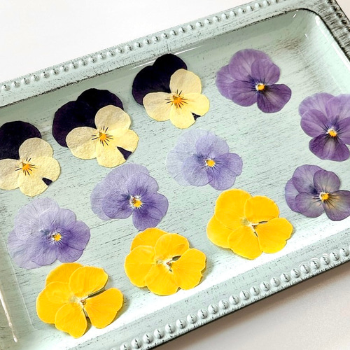 押し花】ビオラ （ミックス ） 12輪 素材 花材 レジン キャンドル  