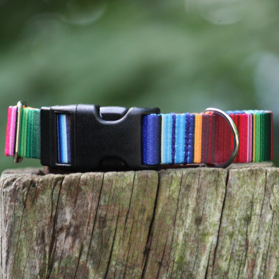 犬首輪＆リードセット 幅1.6㎝/1.9㎝/2.5㎝ Serape