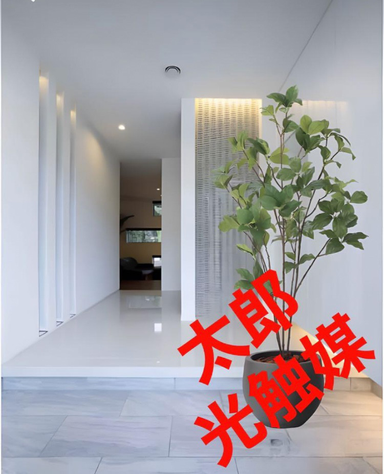 光触媒人工観葉植物ウォールグリーンフェイクグリーンシュロチク 1.6m