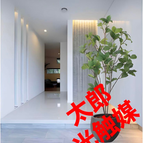 光触媒 人工観葉植物 フェイクグリーン ナチュラルサラサドウダン1.0