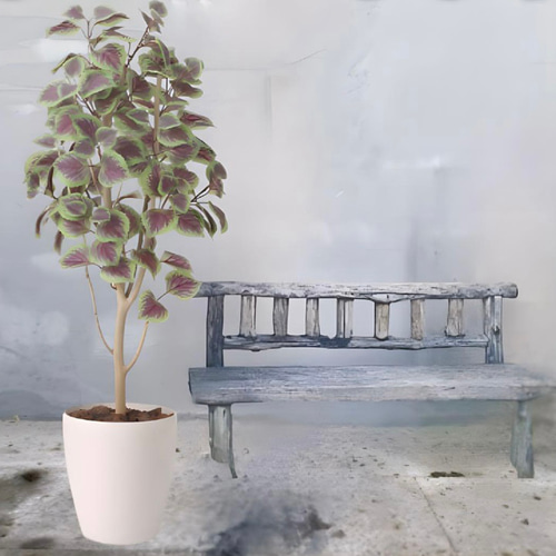 光触媒 人工観葉植物 ウォールグリーン フェイクグリーン コリウス1.1